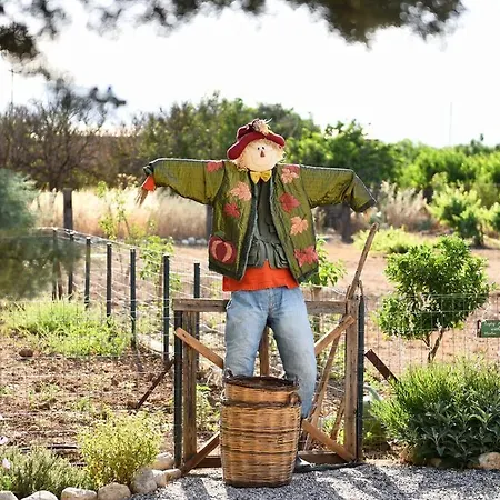 Countryside Loft - Inachos 펜션 Pasas