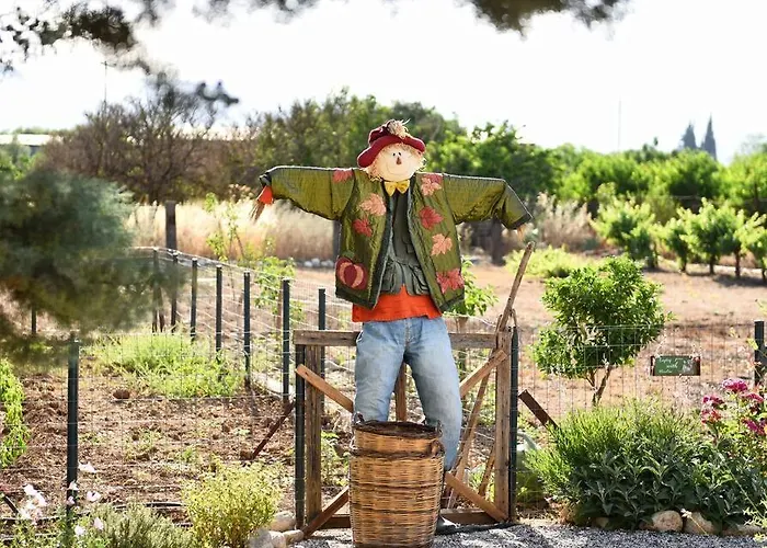 Countryside Loft - Inachos Vakantiehuis Pasas